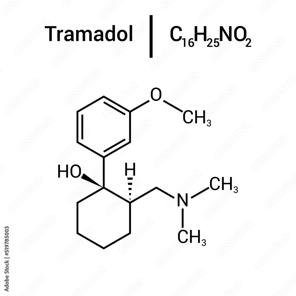 gabapentin vs tramadol for pain in dogs