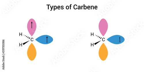 Singlet and triplet carbenes vector illustration.