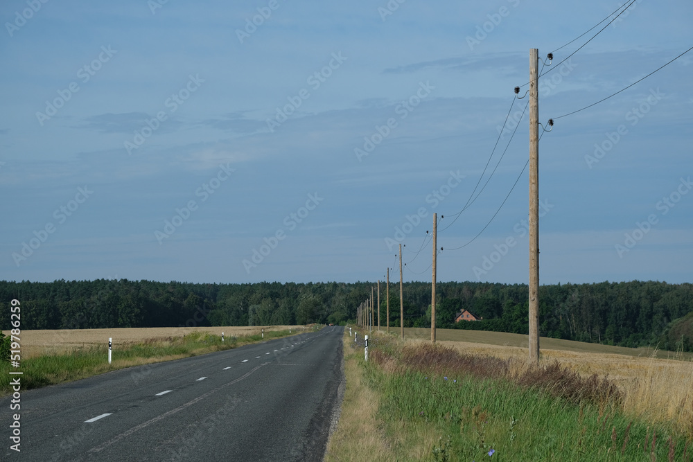 electric power line along asphalt covered country road in Latvia countryside