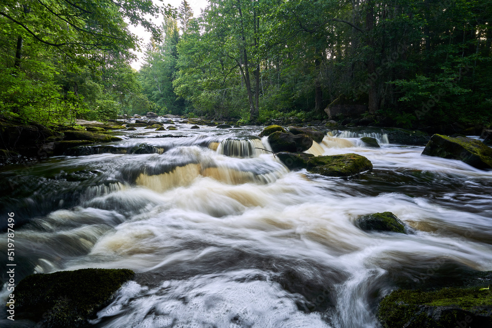 Obraz premium Summer night in river