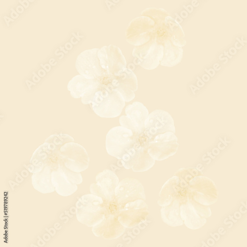 Tender blossoms flower background vector. Exquisite flowers pattern. Delicate flowers 