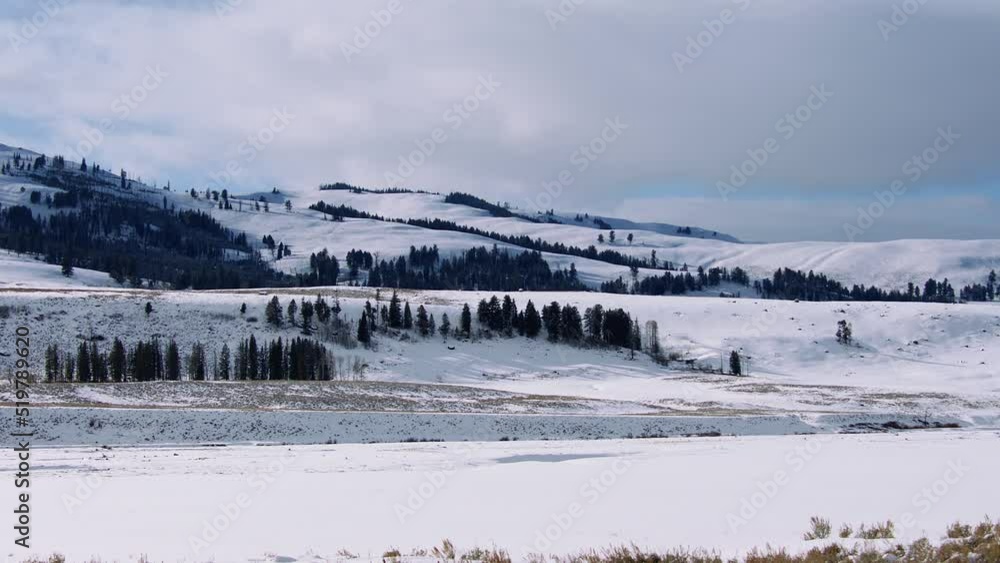 Snowy Landscape Snowy Landscape