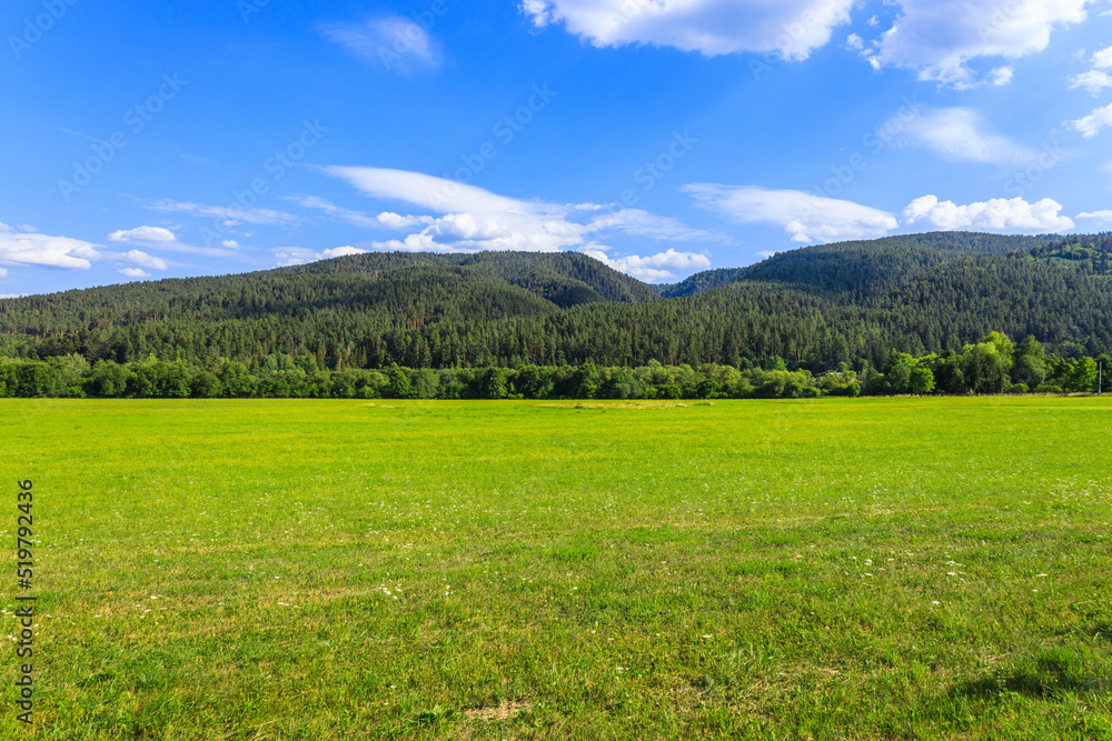 Green field with Tatras mountain in the background in the countryside