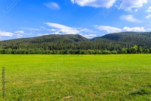 Green field with Tatras mountain in the background in the countryside