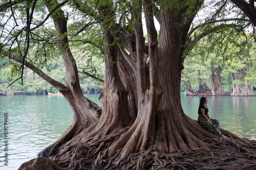 Mujer latina posando en el árbol a orillas del lago, se utilizó luz natural. © Armando Rosales