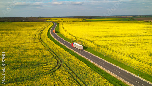 AERIAL: Delivery trucks driving along motorway surrounded with rapeseed fields