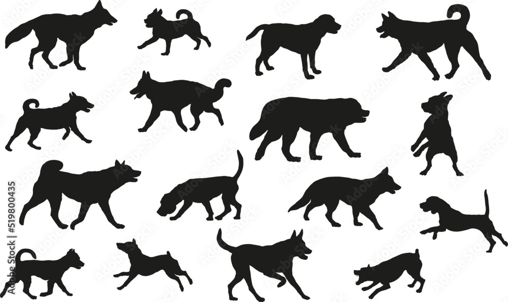 Group of dogs various breed. Black dog silhouette. Running, standing, walking, jumping dogs. Isolated on a white background. Pet animals. Vector illustration.