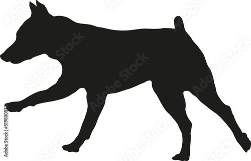 Black dog silhouette. Running and jumping miniature pinscher puppy. Pet animals. Isolated on a white background. Vector illustration.