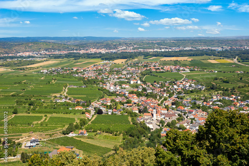 Wachau valley. Krems district. View from the hill on which stand