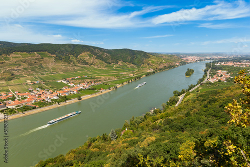 Vineyards by the Danube river in Wachau valley. Lower Austria. © Sergey Fedoskin