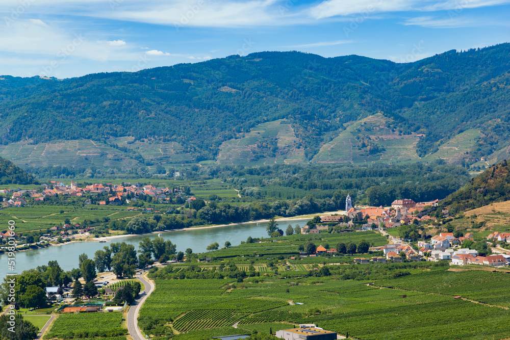 Danube river and vineyards in Wachau valley. Lower Austria.