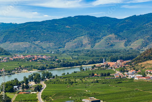 Canvas Print Danube river and vineyards in Wachau valley. Lower Austria.