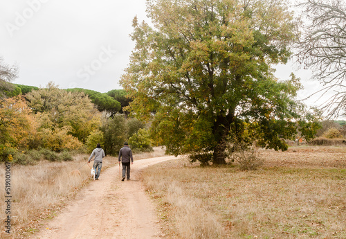 Two grown men walk their dogs along a country path on a beautiful foggy fall day. © NATI