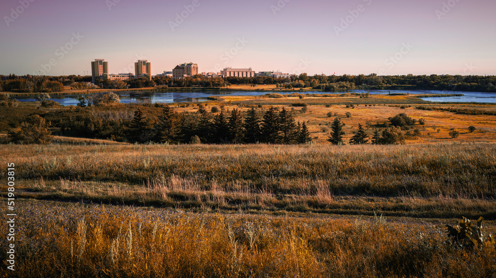 Habitat Conservation Prairie Area and Cityscape in Regina, Canada