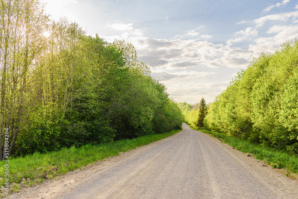 Fototapeta premium Empty Sandy country road near the forest,fluffy clouds blue sky,summer evening landscape.