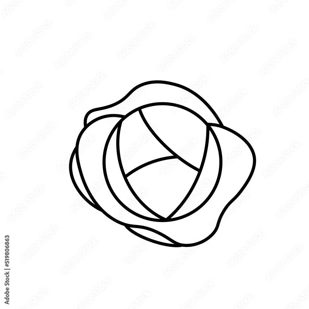 Cabbage vegetable vector icon outline black EPS 10. Garden flat illustration.... Farm market product. Vegetarian food... Fresh healthy organic food... Crop concept for vegan. Isolated on white Cabbage vegetable vector icon outline black EPS 10. Garden flat illustration.... Farm market product. Vegetarian food... Fresh healthy organic food... Crop concept for vegan. Isolated on white