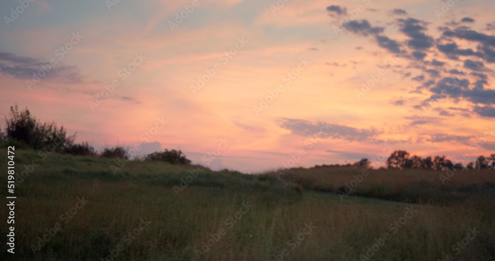 Beautiful sunset field meadow at pink sky. Gold grass grow on landscape nature.