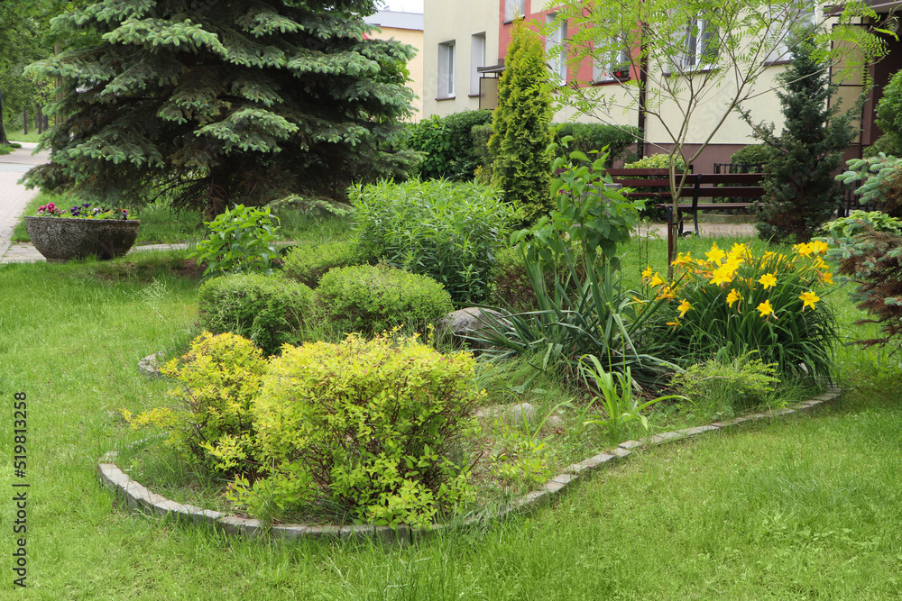 Obraz premium Beautiful flowerbed with different plants on city street. Gardening and landscaping