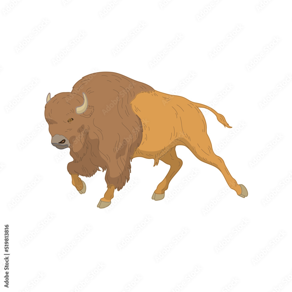 Fototapeta premium Bufallo Design Very Cool