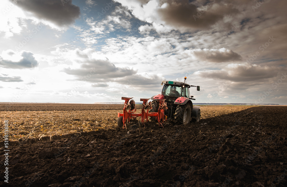 Fototapeta premium Tractor on the field during sunset.