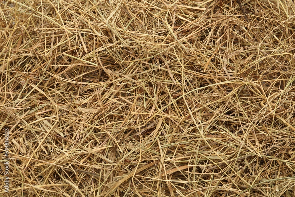 Closeup of dried hay as background, top view Closeup of dried hay as background, top view