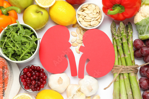 Fototapeta Naklejka Na Ścianę i Meble -  Paper cutout of kidneys and different healthy products on white background, flat lay