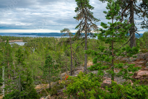 View of Baltic sea and gulf of Bothnia from the top of the rock in Skuleskogen national park, Sweden. Hiking along the High Coast trail, Hoha Kustenleden. photo