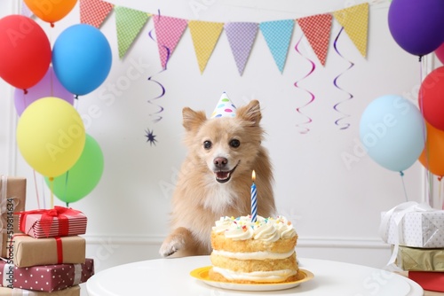 Foto Cute dog wearing party hat at table with delicious birthday cake in decorated ro