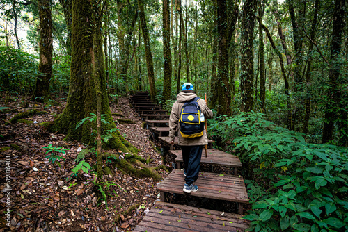 Male tourists carrying backpacks, walking on a nature trail in the forest, which is a tourist attracion, On Doi inthanon, Thailand photo