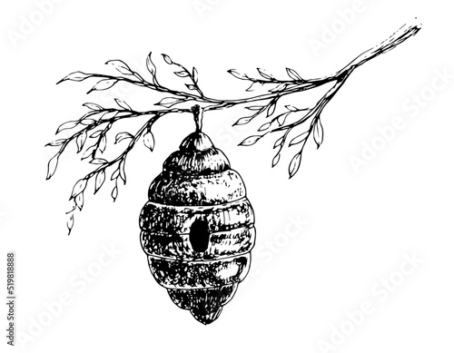 Sketch of Beehive hanging on a Branch. Hand drawn vector Bee Hive. Insect home in vintage style