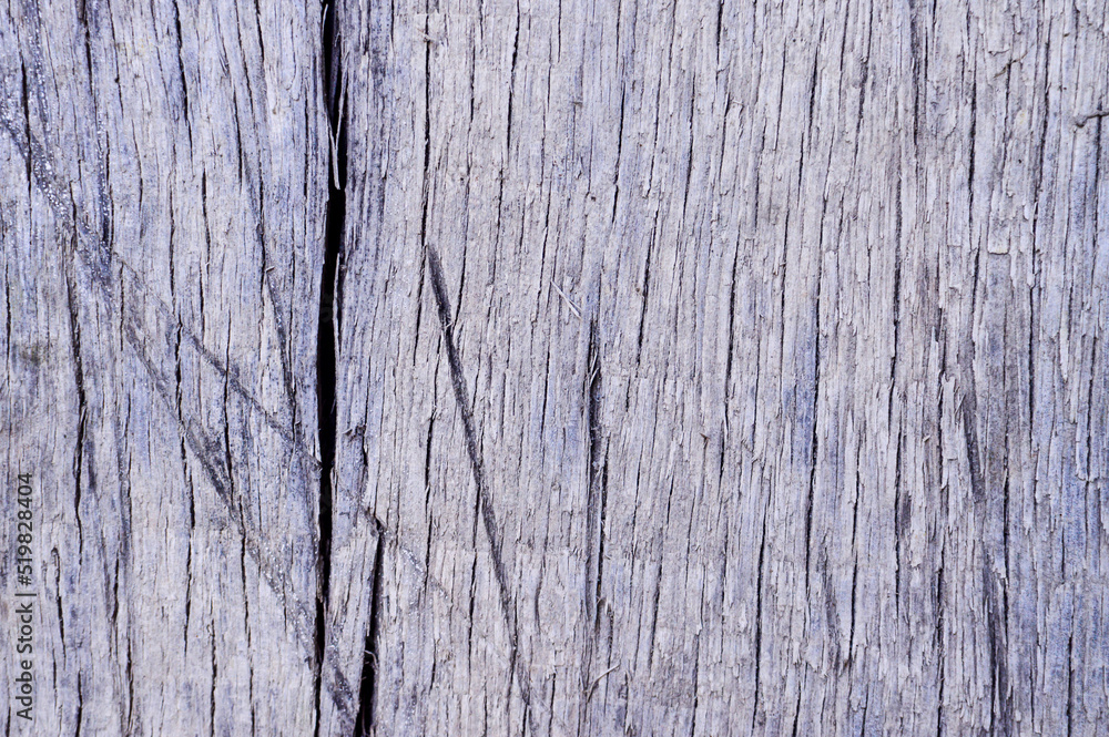 Woody texture. Aged wood, covered by cracks on its surface.