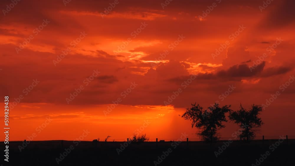 Time lapse of sun setting behind trees on a background. Timelapse of sunset Time lapse of sun setting behind trees on a background. Timelapse of sunset