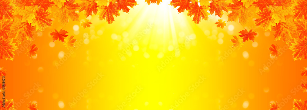 autumn landscape with bright colorful foliage. Indian summer. autumn landscape with bright colorful foliage. Indian summer.