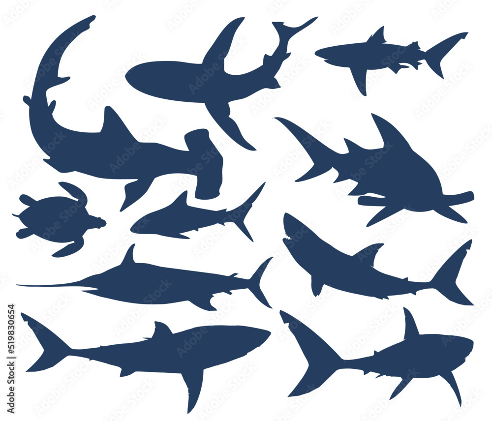 Set of ten fish, inhabitants of the underwater world Set of ten fish, inhabitants of the underwater world