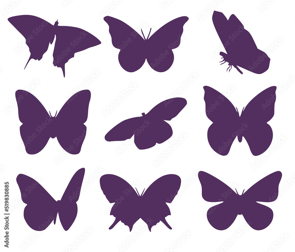 Set of twelve butterfly silhouettes. Entomological collection of butterflies