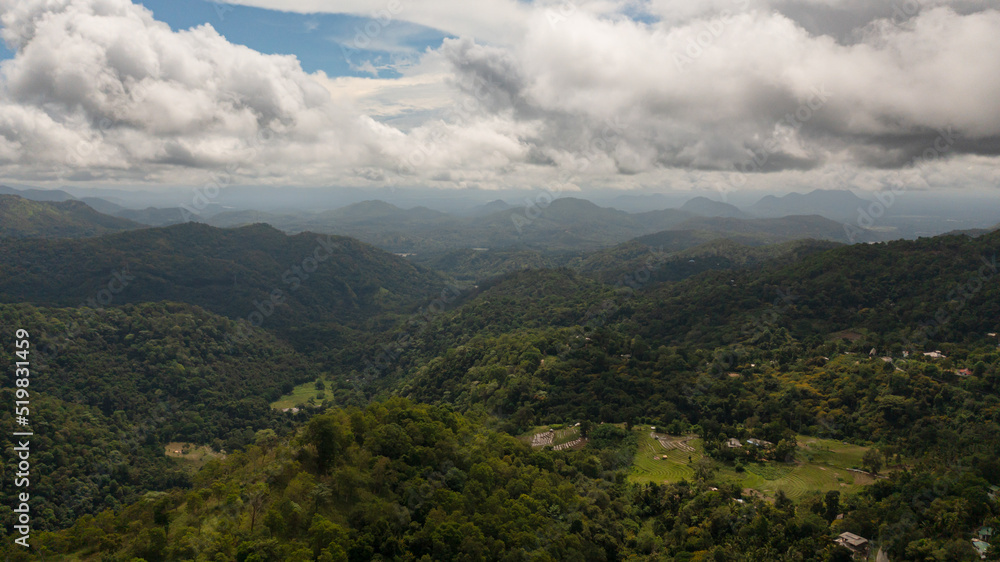 Aerial view of green forest and jungle on the slopes of the mountains of Sri Lanka.