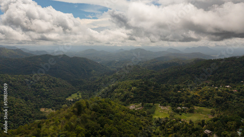 Aerial view of green forest and jungle on the slopes of the mountains of Sri Lanka. © Alex Traveler