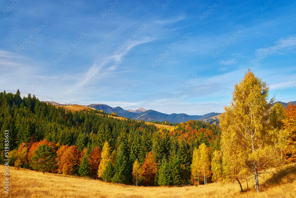 Fototapeta premium mountain autumn landscape with colorful forest
