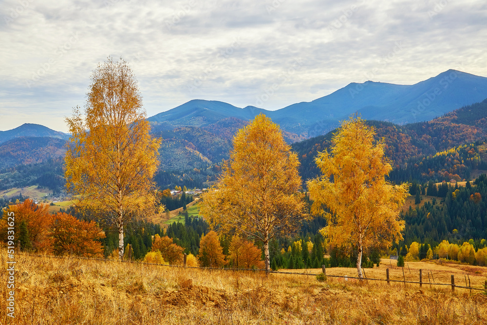 mountain autumn landscape with colorful forest