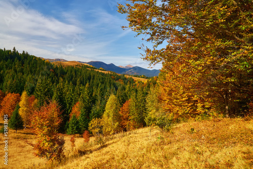 mountain autumn landscape with colorful forest