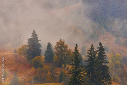 Autumn landscape with fog in the mountains. Fir forest on the hills. Carpathians, Ukraine