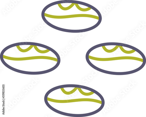 Coffee Beans Vector Icon