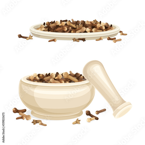 Pile of Dried Clove Aromatic Spice Rested in Mortar and Plate Vector Set