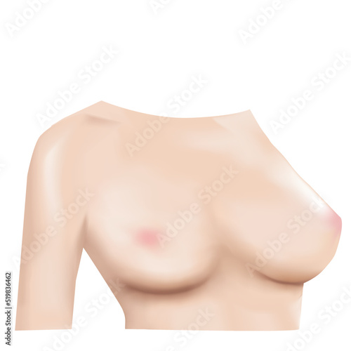Women Breast Front view 3D Realistic design Vector.