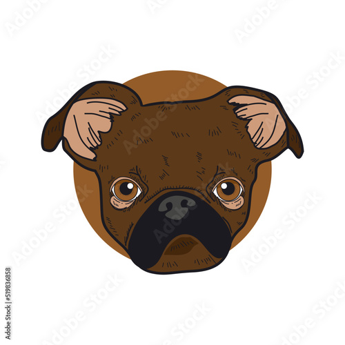dog cartoon illustration