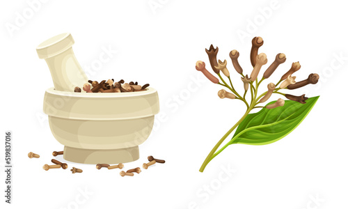 Pile of Dried Clove Aromatic Spice in Mortar with Pestle and Twig Vector Set