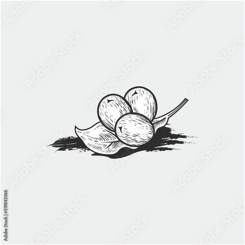 Canvas Print illustration of shea