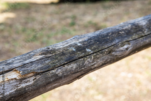 Detail of the railing of an old wooden fence with the focus on the closest part and blurring with distance.