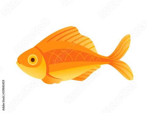 Exotic tropical aquarium fish gold fish vector illustration isolated on white background cartoon animal design