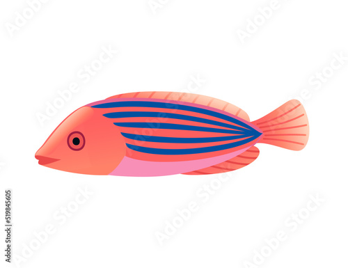 Exotic tropical aquarium fish vector illustration isolated on white background cartoon animal design